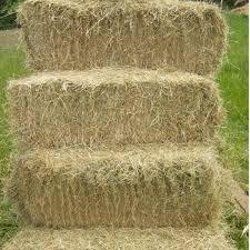 Meadow Hay Bale - The North East Farm - North East Pet Shop North East Pet Shop