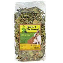 Natural Nibbles Forage Plantain & Blackcurrant - North East Pet Shop Natural Nibbles