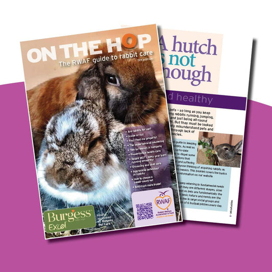 On The Hop – A comprehensive guide to rabbit care

booklet - North East Pet Shop RWAF