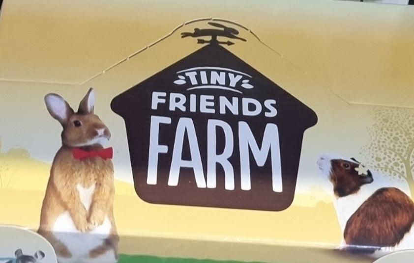 Tiny Friends Farm Giant Carrot Treats - North East Pet Shop Supreme